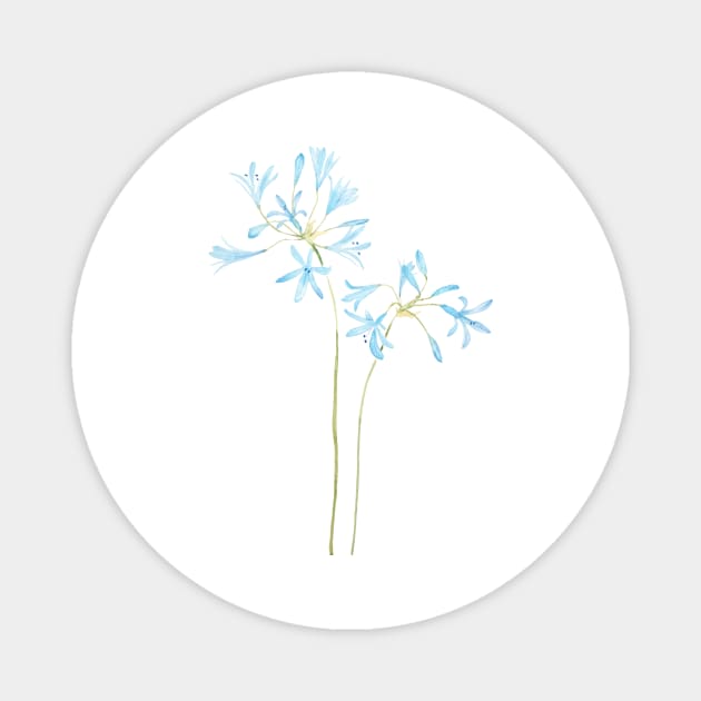 blue African lily watercolor Magnet by colorandcolor